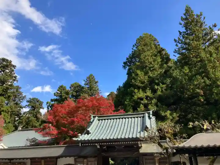 最乗寺(道了尊)(神奈川県)