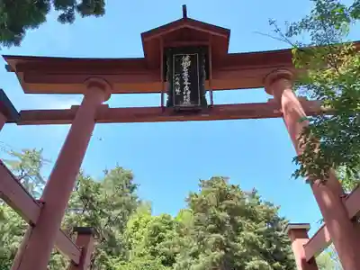 健御名方富命彦神別神社の鳥居