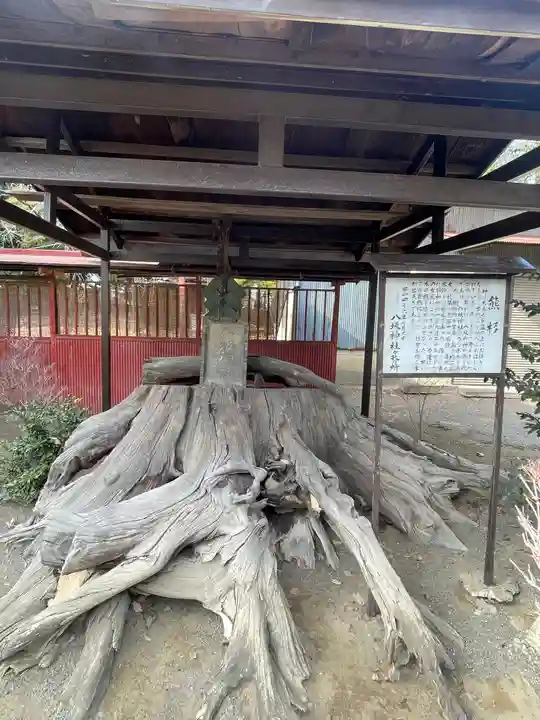 八坂神社(群馬県)