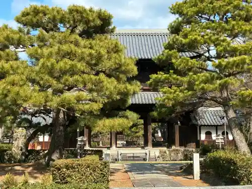 建仁寺（建仁禅寺）の{uncategorized: "未分類", other: "その他", undefined: "問題あり", building: "その他建物", grave: "お墓", sacred_gate: "鳥居", guardian: "狛犬", statue: "像", buddha: "仏像", history: "歴史", nature: "自然", garden: "庭園", animal: "動物", pagoda: "塔", temizu: "手水舎", mountain_gate: "山門・神門", sanctuary: "本殿・本堂", subordinate: "末社・摂社", art: "芸術", scenery: "景色", jizo: "地蔵", ema: "絵馬", goshuin: "御朱印", omikuji: "おみくじ", items: "授与品その他", amulet: "お守り", goshuincho: "御朱印帳", eats: "食事", festival: "お祭り", votive_dance: "神楽", shichigosan: "七五三参", wedding: "結婚式", experience: "体験その他", initially: "初詣", around: "周辺", anti_infection: "感染症対策"}