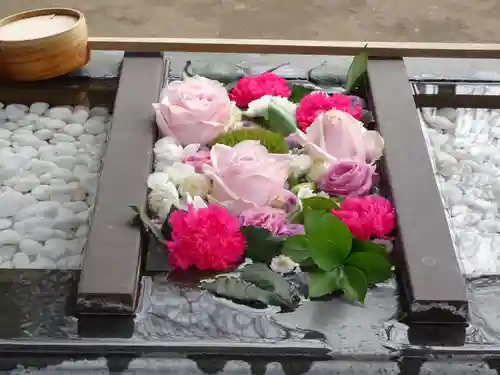 根岸八幡神社の手水舎