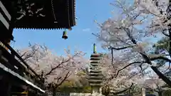 妙顯寺（妙顕寺）の建物その他