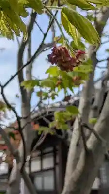 上宮王院聖徳寺(京都府)