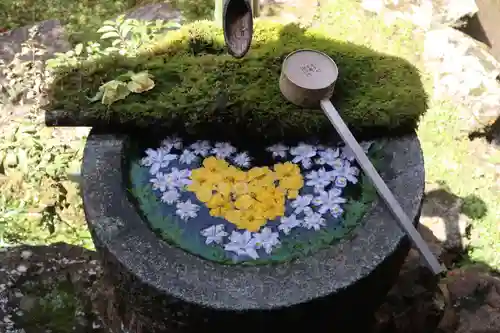 柳谷観音　楊谷寺(京都府)
