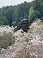 長谷寺(奈良県)