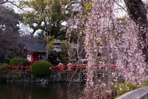 三嶋大社(静岡県)