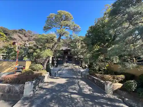 本蓮寺(神奈川県)