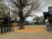 松原八幡神社(兵庫県)