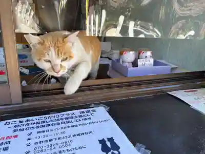 佐野赤城神社(栃木県)