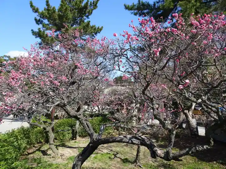 道明寺天満宮の自然