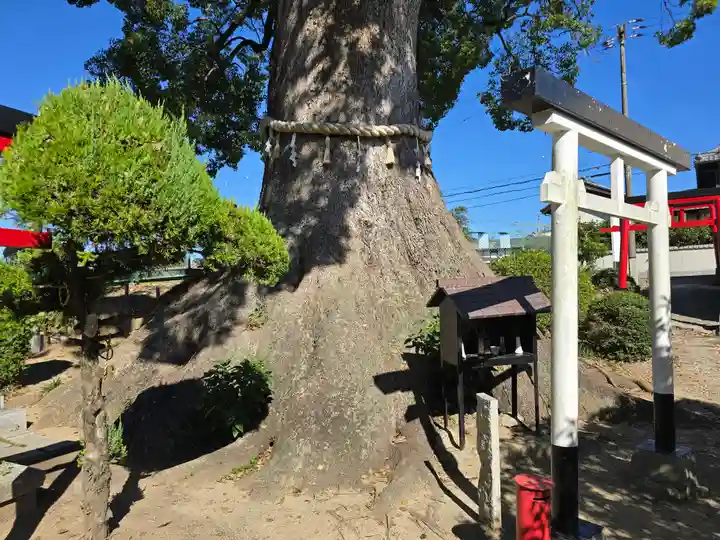 尾崎稲荷大明神(大阪府)