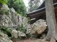 鹿島大神宮の自然