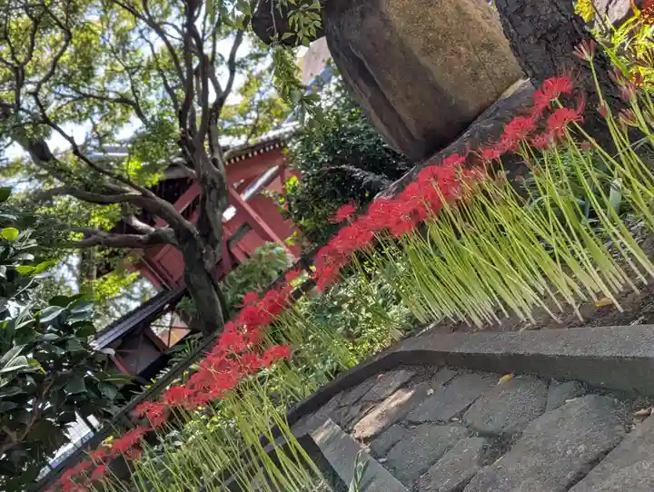 法栄寺(千葉県)