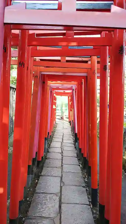 根津神社の鳥居