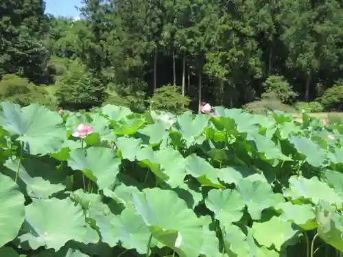 久昌寺(埼玉県)