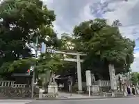 秩父神社の鳥居