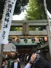 恵比寿神社の鳥居