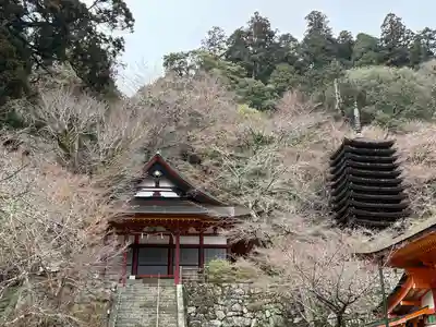 談山神社(奈良県)