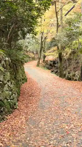 蓮成院(京都府)