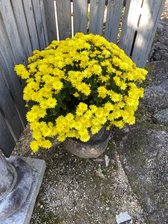 龍馬神社の庭園