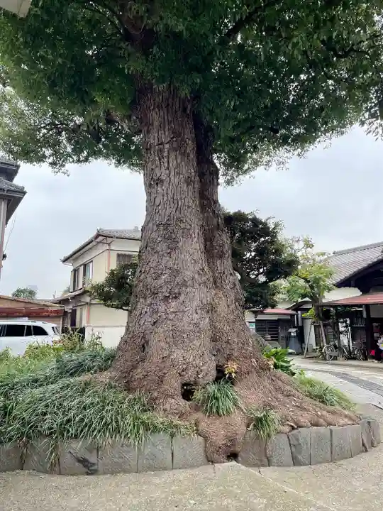 観音寺(東京都)