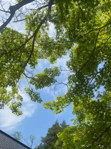 麻賀多神社奥宮(千葉県)