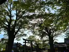 白鳥神社の鳥居