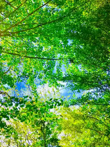 成田熊野神社の自然