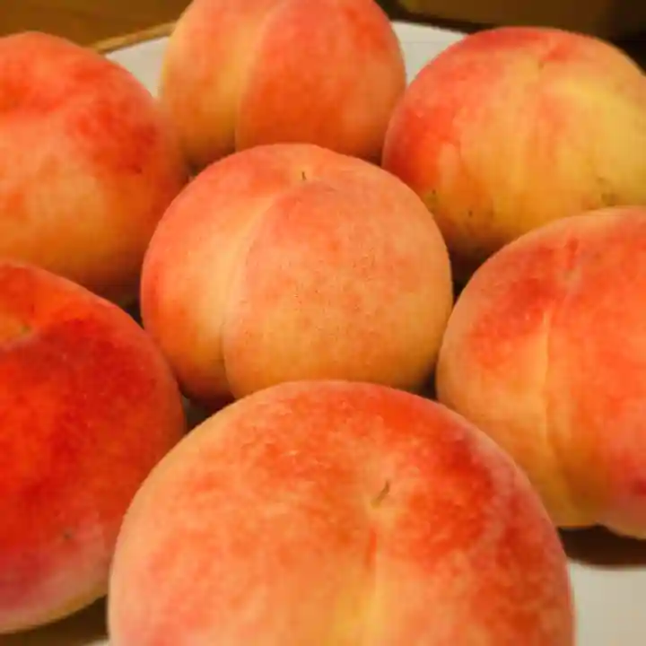 滑川神社 - 仕事と子どもの守り神の食事