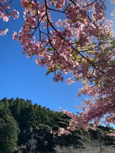 小國神社(静岡県)