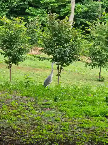 美幌神社(北海道)