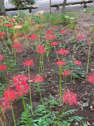 祖光院(千葉県)