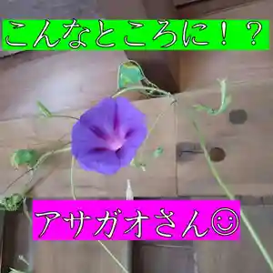 七重浜海津見神社(北海道)(2023年08月09日(水) 08時34分40秒投稿)