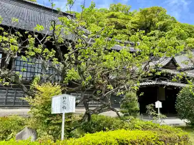 清見寺(静岡県)