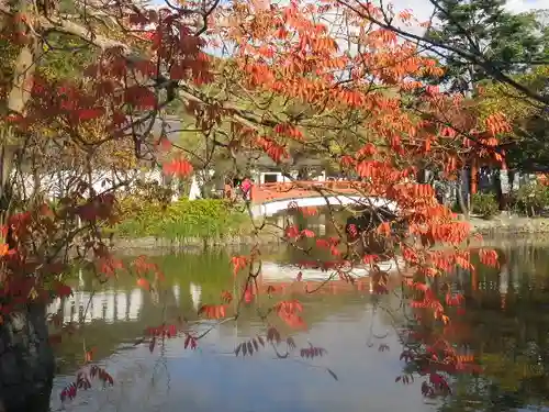 鶴岡八幡宮の庭園