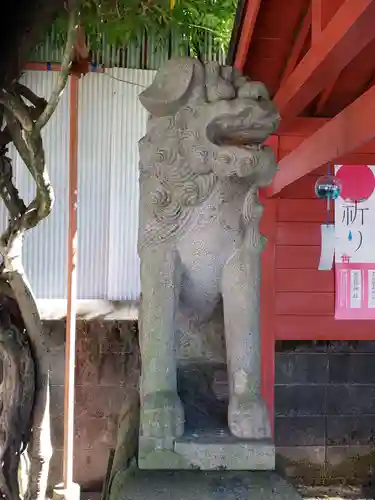 大牟田神社の狛犬