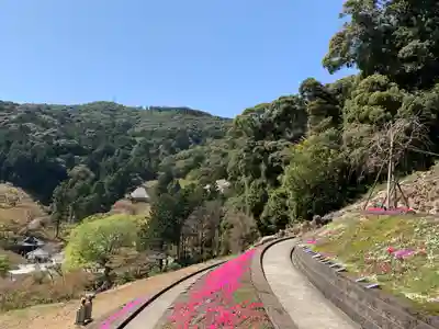 普門寺(切り絵御朱印発祥の寺)(愛知県)