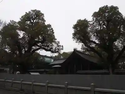 南光坊(愛媛県)