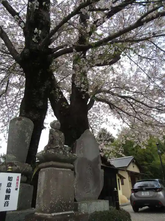 真光寺(千葉県)