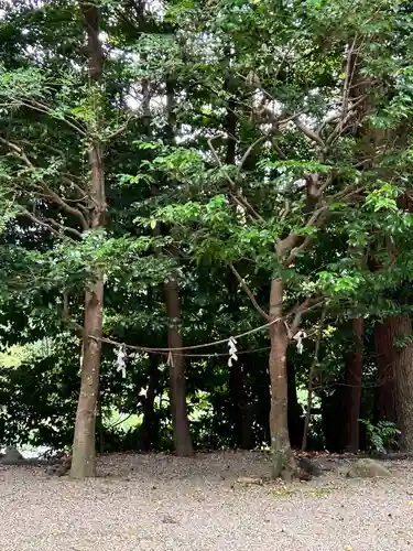 篠畑神社(奈良県)