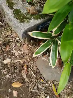 円山随身稲荷大明神のその他建物