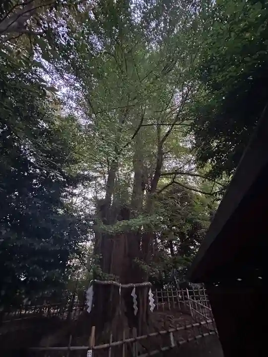 大國魂神社(東京都)