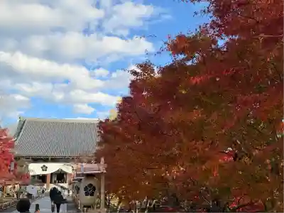  智積院(京都府)