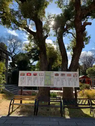 難波大社　生國魂神社の自然