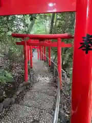 白笹稲荷神社の鳥居