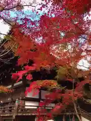 真正極楽寺（真如堂）(京都府)