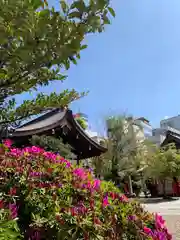 三輪神社の自然