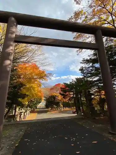 江別神社の鳥居