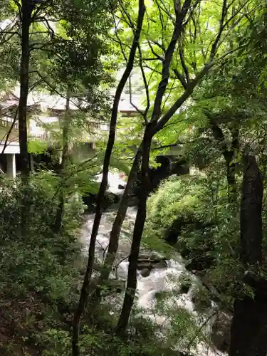 大本山七宝瀧寺の景色