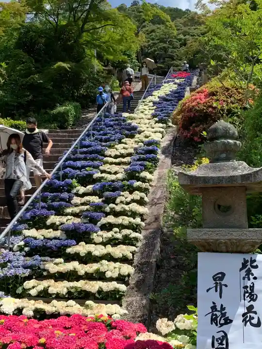 三室戸寺のお祭り